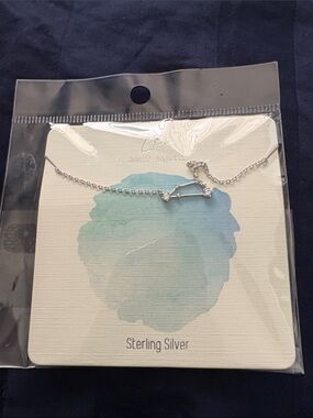 Sterling Silver Leo Constellation Necklace - Silver